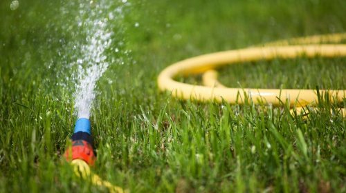 5 Hidden Uses for Garden Hose