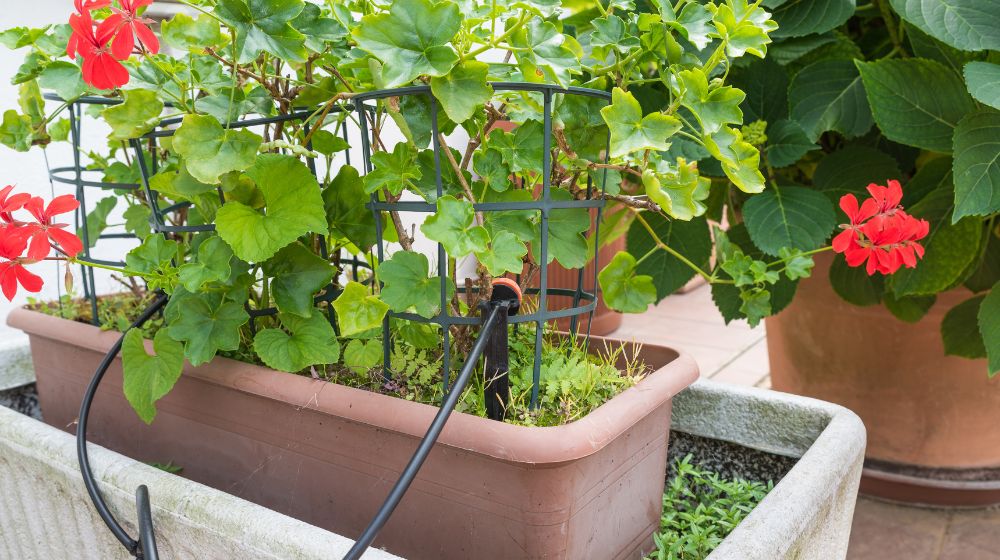 garden hose-Drip Irrigation System