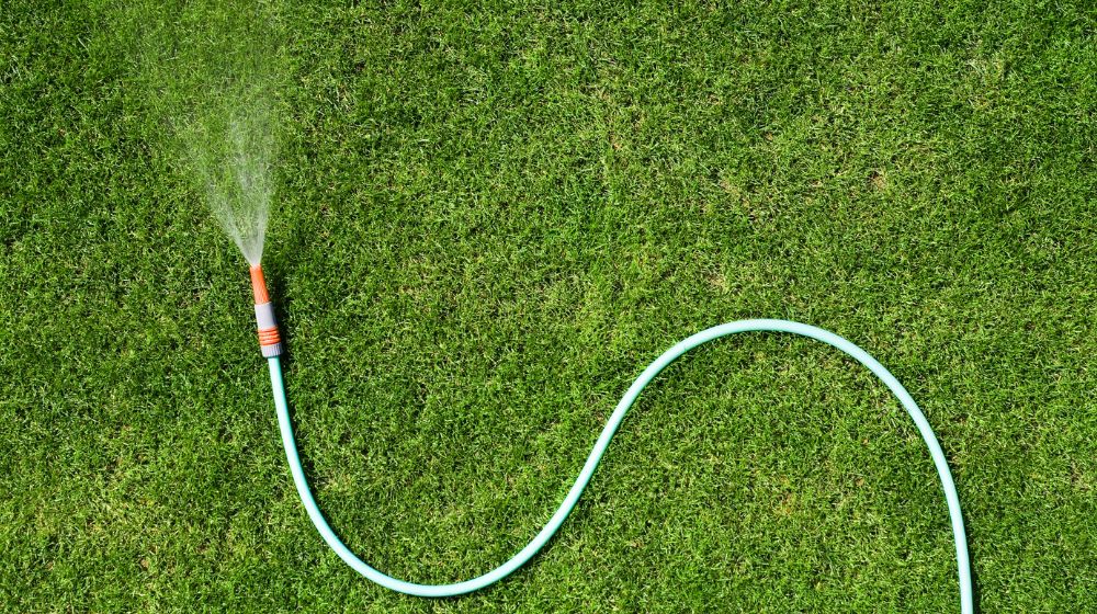 garden watering1