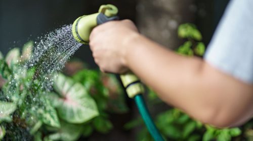 Water-Saving Application of Hose in Agricultural Irrigation