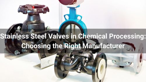 Stainless Steel Valves in Chemical Processing: Choosing the Right Manufacturer
